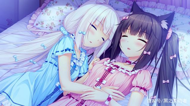 你们养的宠物多久能够变成美少女？为啥我的家猫还没变？