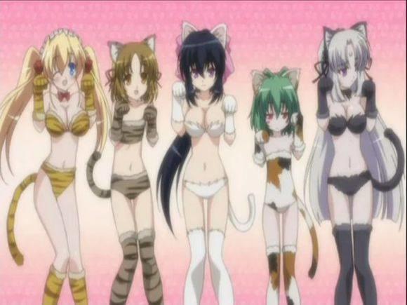 后宫漫：男主住手，求留一个后宫妹子给我们！