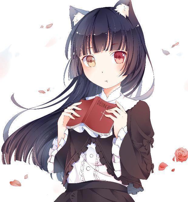 5位猫咪属性的动漫萌妹子，羽川撩人无比，只有第5能让人吐血三升