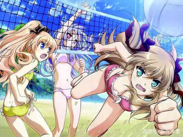 动漫中的那些兽耳少女，绯鞠和小空都上榜，你想娶哪一只回家？