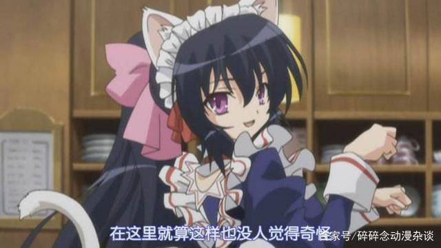 猫耳娘武士参上！补番推荐——《守护猫娘绯鞠》