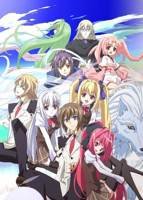 动漫：刚入宅的我看了这些后宫番，从此不可自拔！