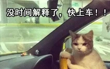 日本警察逮捕了两名澄空学园字幕组的片源这次又是在京都翻的车...