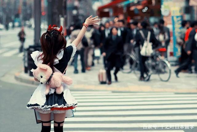 日本的女仆咖啡厅是如何诞生的？为什么加入了“萌”属性？