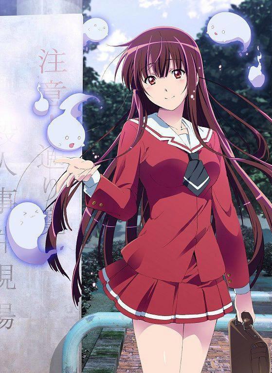 特别好看！昂贵的动画！