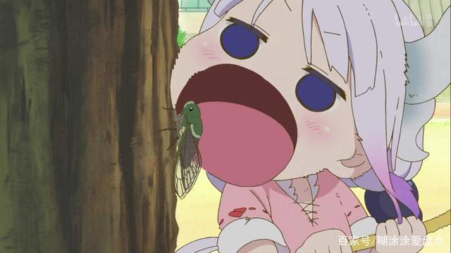 盘点萝莉扎堆动漫中的12股清流，评分高有深度不一样的风格