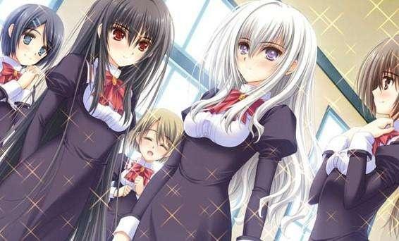 动漫：听说多看看这些后宫番，有益身心健康哦！