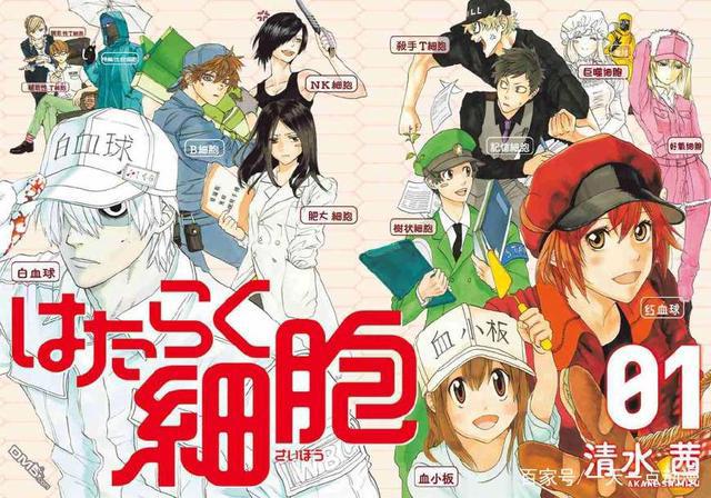 动漫图文向：2018年新番推荐第二波，沙滩美女《遥的接球》动画化