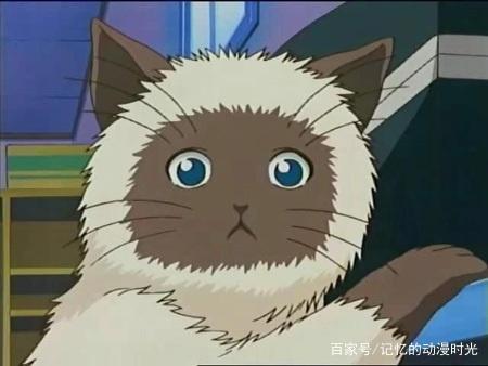 动漫中那些萌死人的猫咪大合集，你最想拥有哪一只？