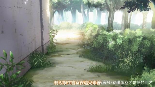 动漫介绍《终将成为你》