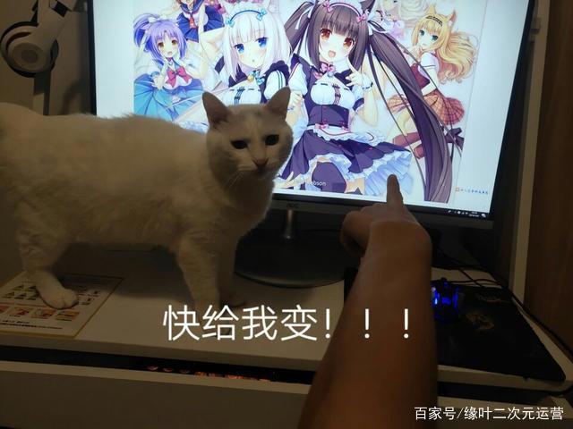 一觉醒来，我家的猫变成了可爱的女孩子，这部猫娘漫画推荐给你