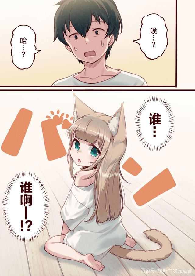 一觉醒来，我家的猫变成了可爱的女孩子，这部猫娘漫画推荐给你