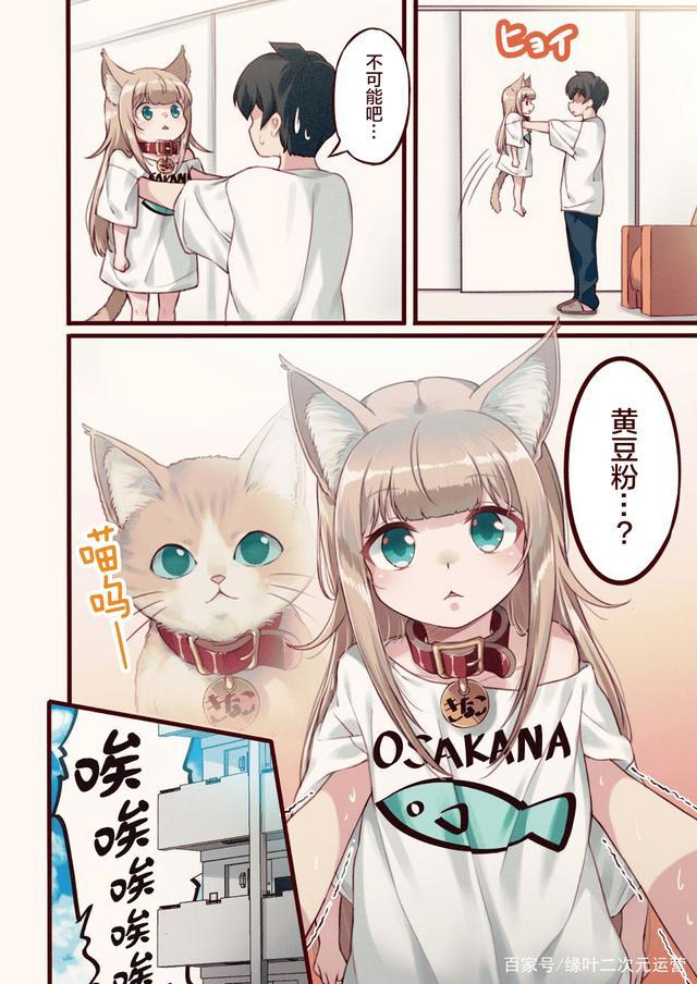 一觉醒来，我家的猫变成了可爱的女孩子，这部猫娘漫画推荐给你