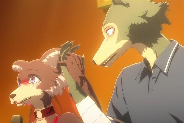 B站冷门佳作盘点，这四部一月新番评分9以上，却没多少人看过