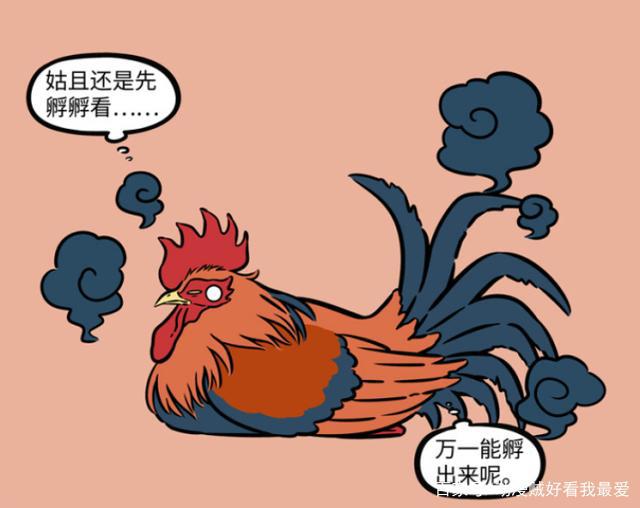 非人哉：大公鸡孵蛋，星君笑死人，结果蛋没了。