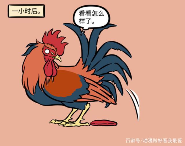 非人哉：大公鸡孵蛋，星君笑死人，结果蛋没了。