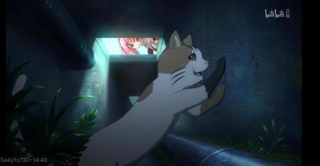 无能的奈奈：网友剧透两点未来，看完后，你会选择原谅她吗？