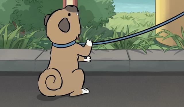 最近播出的这3部国产动漫中各有一只逗比宠物，一个比一个搞笑