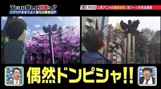 出发！6天5晚！C93圣战一触即发！