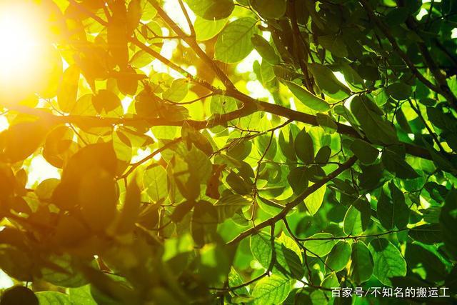 东京旅游：15大推荐玩法带你轻松玩转池袋区！