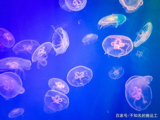 东京旅游：15大推荐玩法带你轻松玩转池袋区！