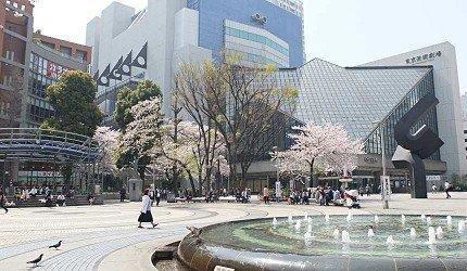 东京「池袋」怎么逛？交通出口攻略与周边景点5大要诀快速掌握