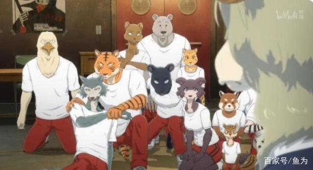 射击、追番、攀岩、分享音乐…“30 姐姐”万茜依然中二