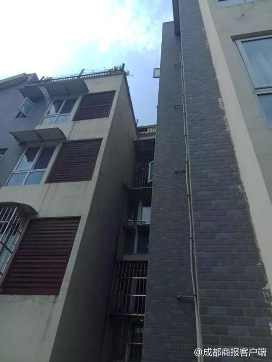 8岁女孩从6楼坠下身亡家人：她模仿熊出没攀岩