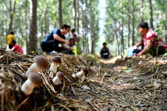 志愿填了吗？这些好吃、好玩、好看的专业拿走不谢