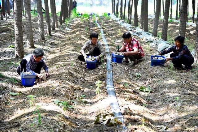 志愿填了吗？这些好吃、好玩、好看的专业拿走不谢