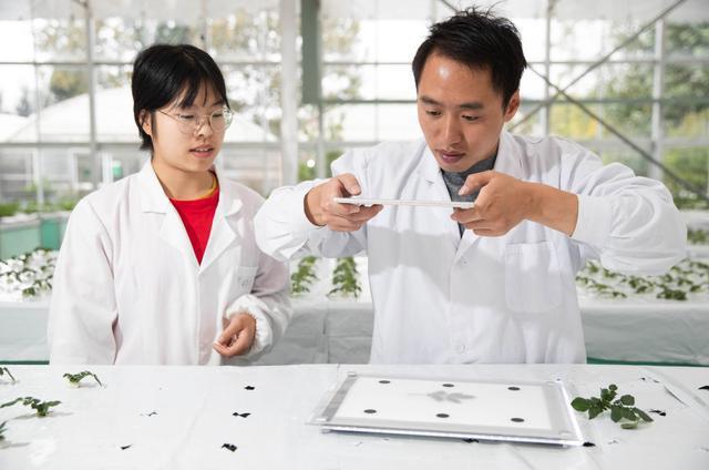 志愿填了吗？这些好吃、好玩、好看的专业拿走不谢