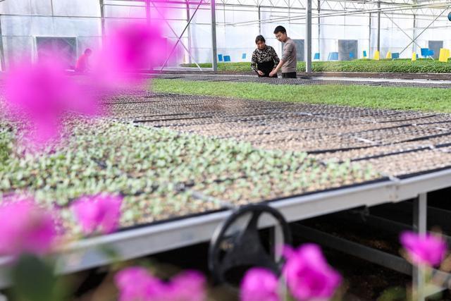 志愿填了吗？这些好吃、好玩、好看的专业拿走不谢