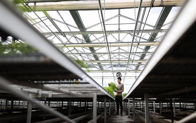 志愿填了吗？这些好吃、好玩、好看的专业拿走不谢