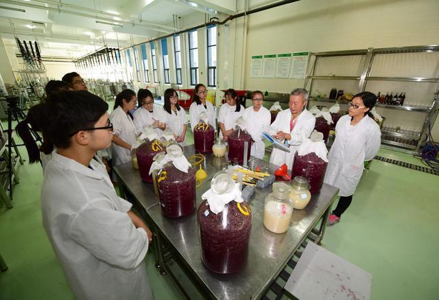 志愿填了吗？这些好吃、好玩、好看的专业拿走不谢