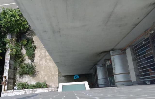 8岁女童模仿《熊出没》坠亡！家长错了？动画片“背锅”了吗？