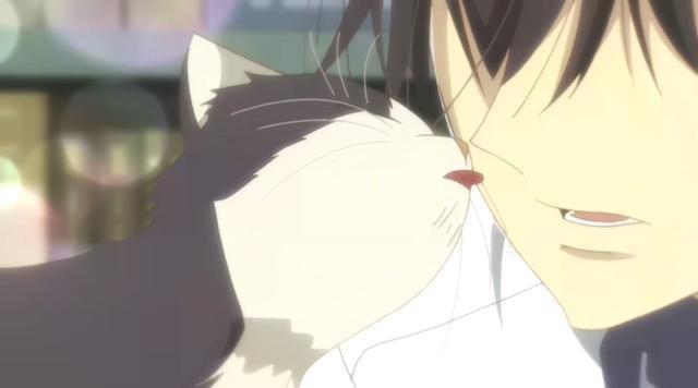 日本动漫业界推2019新番动画：《光之美少女》上榜《多罗罗》落榜