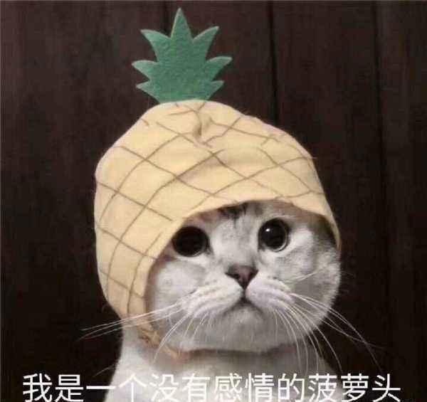 〔动漫番剧〕值得一看的动漫