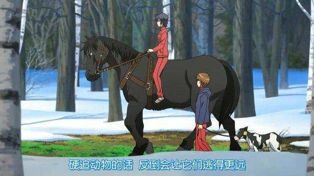 动漫番剧推荐，在迷茫之中探寻人生的方向，银之匙