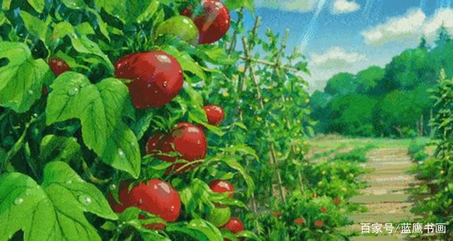 宫崎骏的动漫作品，让大家感受到了生活的清凉与恬静，太赞了