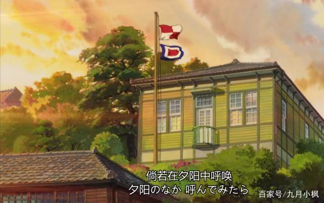 从《虞美人盛开的山坡》，忆起了我的青春