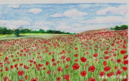 吉卜力动漫系列之《虞美人盛开的山坡》：宫崎骏儿子备受争议作品