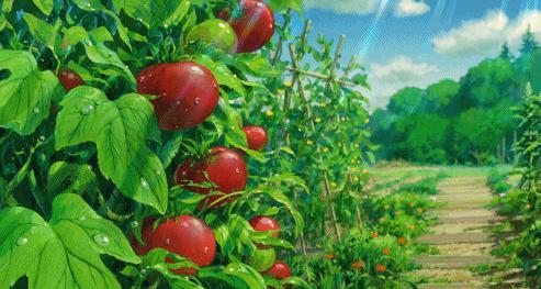 太心动了，那些美到让人心醉的动漫场景动态图