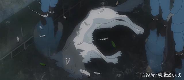 动画：19岁少女与狼相爱，婚后生下两个孩子，却不知是人是狼？