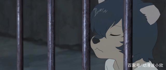 动画：19岁少女与狼相爱，婚后生下两个孩子，却不知是人是狼？