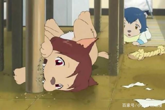 《狼之子雨与雪》，木屋前的分岔路，人生中的大选择