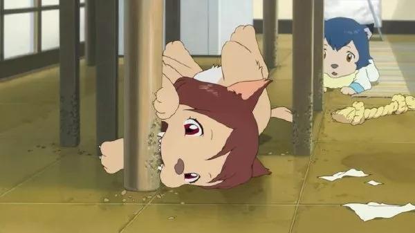 冷门番剧推荐（七）｜我伟大的妈妈《狼的孩子雨和雪》