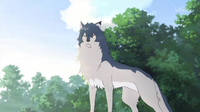 狼的孩子雨和雪：一部争议很多的人狼恋，爱是陪伴，还是历练？