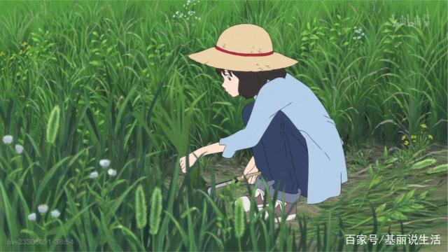 豆瓣8.5高分动画作品，狼的孩子雨和雪，本身就已经超越了动画