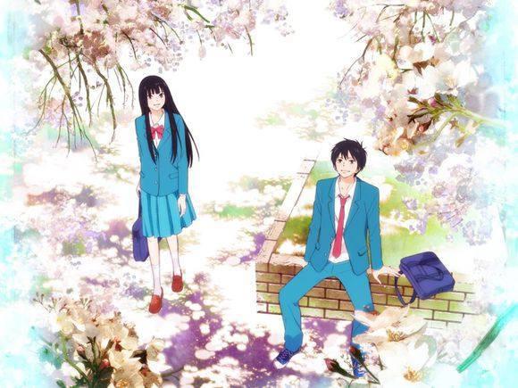 超级好看动漫后宫番！擂台一片天！