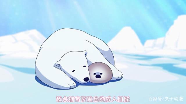 恋爱中的白熊：史上最萌的基腐番，要么成为情人，要么被吃掉